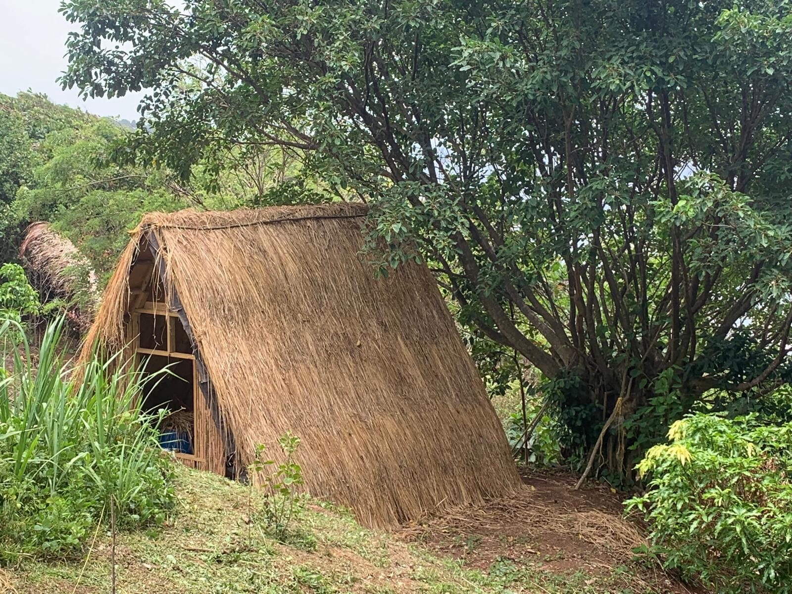 A finished traditional thatched shelter at the Kalinago campground, Dominica